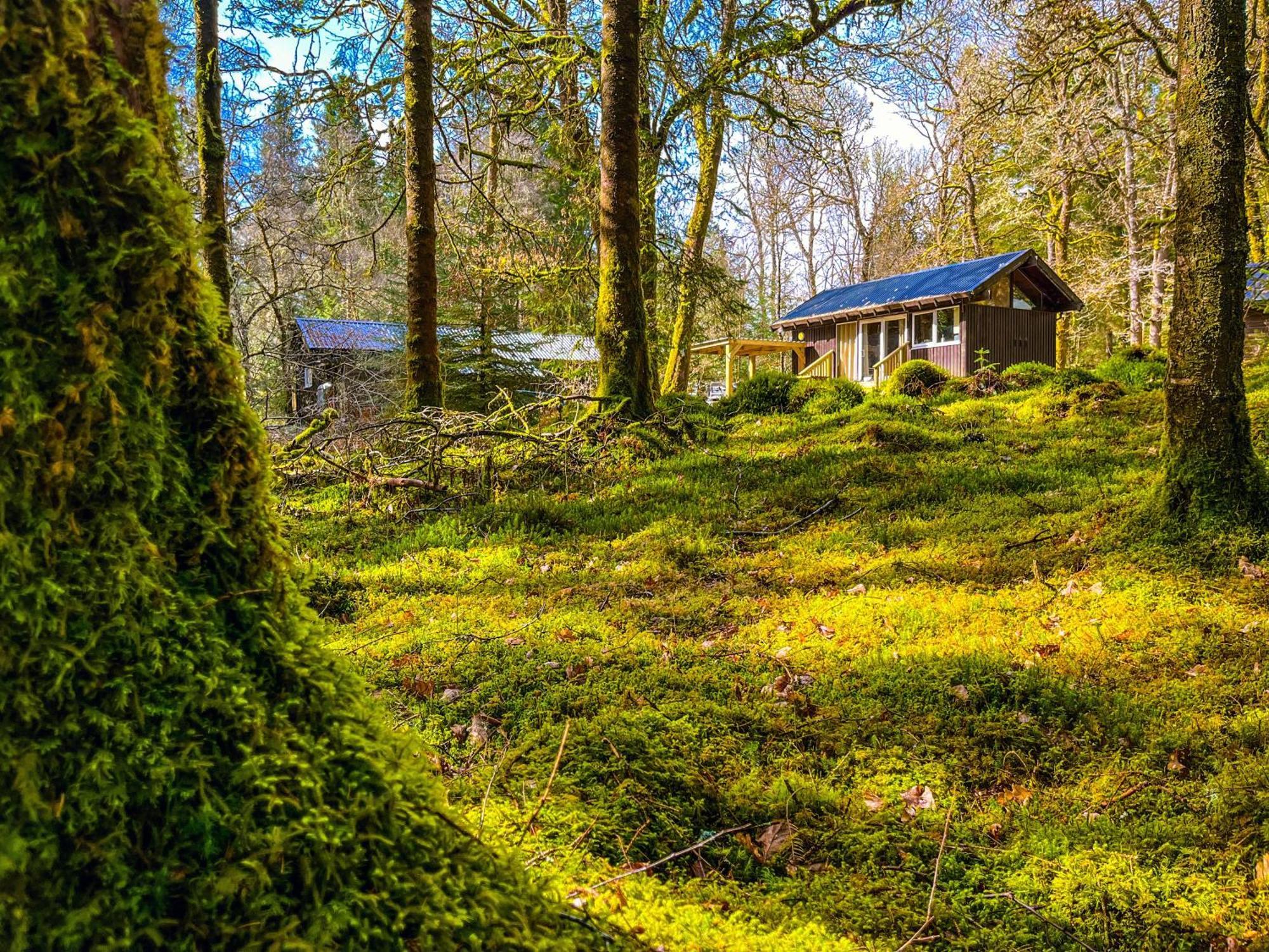 Loch Aweside Forest Cabins Dalavich Habitación foto